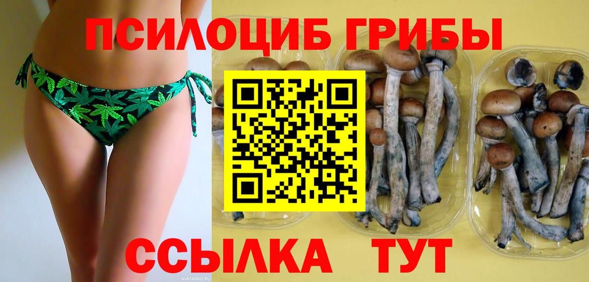 Избербаш  Псилоцибиновые грибы GOLDEN TEACHER  Вход с VPN 