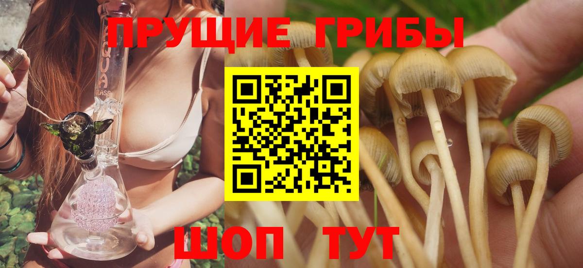 Галлюциногенные грибы мицелий Избербаш